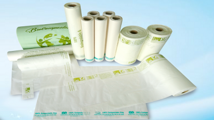 WILL PLASTIC BAGS DISAPPEAR IF PAPER BAG &ldquo;COME TO A THRONE&rdquo;